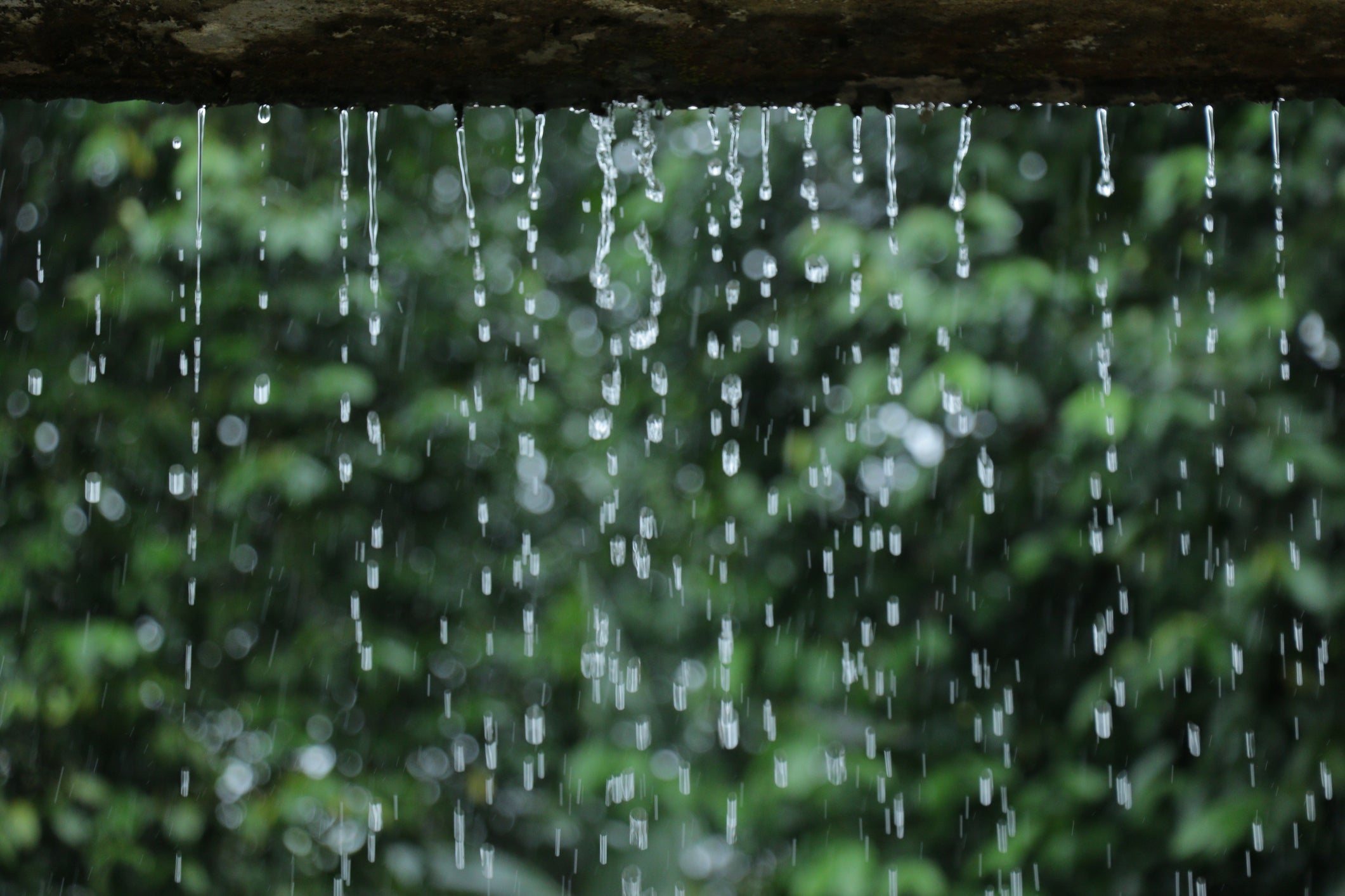 Pluie qui tombe